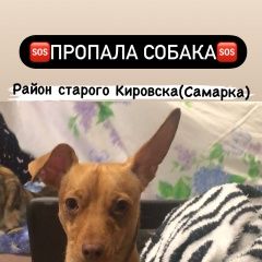 ����: ������� ������ ���-������ ����� ������� ������ ������ ����� ����� ������...� � �. ����