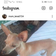 ����: ������� ������  �������� ������ ������ ������� ��� ���� ��������� � �. ���������