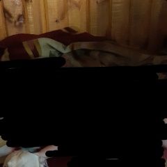 Подробнее об объявлении «Пропала собака кобель Володарск» Фото: пропала собака Такса «Пропала собака кобель Володарск» в г. Володарск