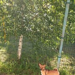 ����: ������� ������  �������� ������� ������ ������� � �. �������