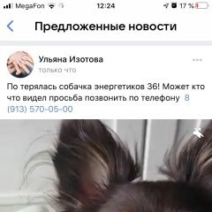 Подробнее об объявлении «Красноярск Пропала собака очень прошу вернуть за вознаграждение» Фото: пропала собака Той-терьер «Красноярск Пропала собака очень прошу вернуть...» в г. Красноярск