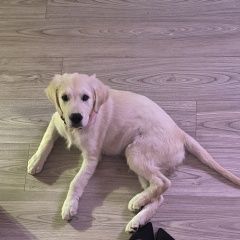 ����: ������� ������ ������ �������� ������������ ������� ������ � �. �����������