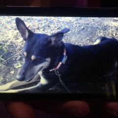 ����: ������� ������  ������� ������� ������ ������� � �. ������