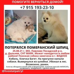 Подробнее об объявлении «Пропала собака кобель бело-бежевый шпиц Москва» Фото: пропала собака Померанский шпиц «Пропала собака кобель бело-бежевый шпиц Москва» в г. Москва