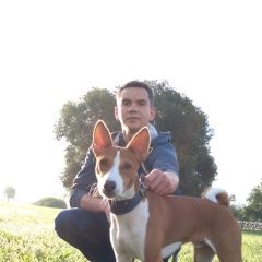 Подробнее об объявлении «Пропала собака кобель пожалуйста помогите найти песеля Санкт-Петербург» Фото: пропала собака Басенджи «Пропала собака кобель пожалуйста помогите найти...» в г. Санкт-Петербург