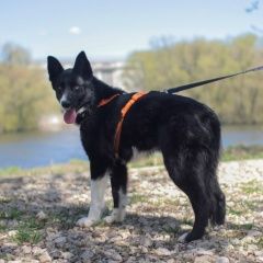 ����: ������� ������  ������� ������� ������ ������, ������ �...� � �. ������