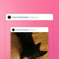 Подробнее об объявлении «Петрозаводск Пропала собака кобель я помогите прийти домой» Фото: пропала собака  «Петрозаводск Пропала собака кобель я помогите...» в г. Петрозаводск