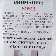 Подробнее об объявлении «Пропала собака кобель помогите Калуга» Фото: пропала собака Йоркширский терьер «Пропала собака кобель помогите Калуга» в г. Калуга
