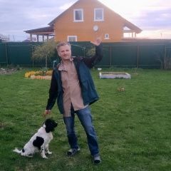 Подробнее об объявлении «Анапа Пропала собака девочка русский спаниель» Фото: пропала собака Русский охотничий спаниель «Анапа Пропала собака девочка русский спаниель» в г. Анапа