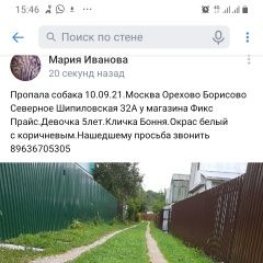 Подробнее об объявлении «Пропала собака Москва» Фото: пропала собака Джек рассел терьер «Пропала собака Москва» в г. Москва