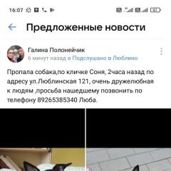 Подробнее об объявлении «Пропала собака Москва» Фото: пропала собака Той-терьер «Пропала собака Москва» в г. Москва
