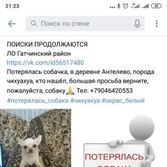 ����: ������� ������ �������� ��������� ������� ������ ������� � �. ��������