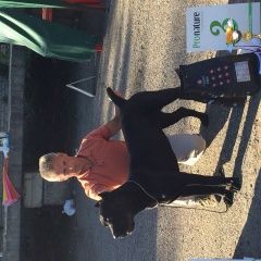 ����: ������� ������ ����-����� ���������� ������� ������ ���� ����� � �. ���������