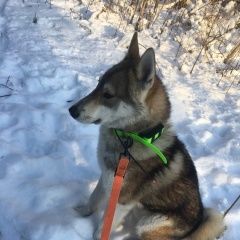 ����: ������� ������ �������-��������� ����� ����� ������� ������ ������ � ����-������� �������� � �. ����