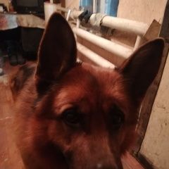 ����: ������� ������ �������� ������� ��������� ������� ������ ������ �������� ������� � �. ��������