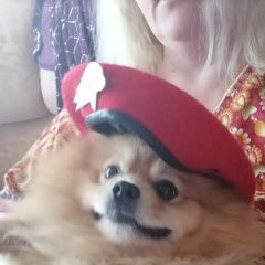 Подробнее об объявлении «Пропала собака кобель шпиц Чебоксары» Фото: пропала собака Померанский шпиц «Пропала собака кобель шпиц Чебоксары» в г. Чебоксары