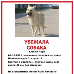 Подробнее об объявлении «Пропала собака Москва» Фото: пропала собака  «Пропала собака Москва» в г. Москва