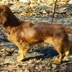 ����: ������� ������ ����� �������-��-���� ������� ������ ����� � �. ������-��-����