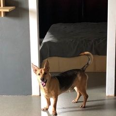 ����: ������� ������  �������� ������ ������ � ������� ��������, ����...� � �. ���������