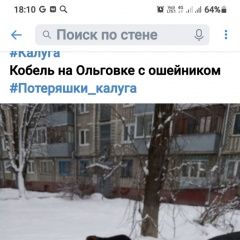 Картинка пропала собака В городе Калуга потерялась собачушка. Калуга