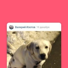 Подробнее об объявлении «Пропала собака лабродор Казань» Фото: пропала собака Лабрадор ретривер «Пропала собака лабродор Казань» в г. Казань
