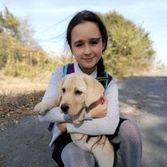Картинка пропала собака В городе Новочеркасск потерялся сабакен. Новочеркасск