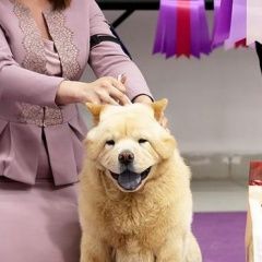 ����: ������� ������ ���-��� �������� ������ ������, ��� -��� - ������ ������ � �. ������