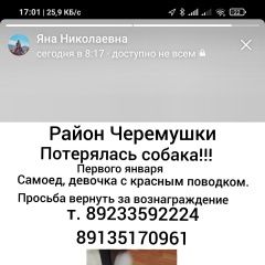 Подробнее об объявлении «Красноярск Пропала собака поиск молли» Фото: пропала собака Самоедская лайка «Красноярск Пропала собака поиск молли» в г. Красноярск