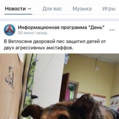 Подробнее об объявлении «Пропала собака кобель Ухта» Фото: пропала собака  «Пропала собака кобель Ухта» в г. Ухта