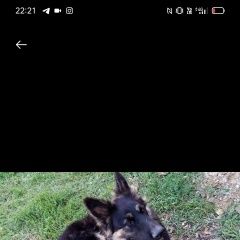 ����: ������� ������ �������� ������� �������� ������ ������ ��������� � �. ���������