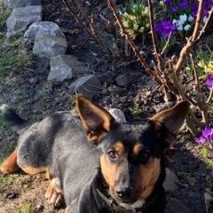 ����: ������� ������  �������� ������ ������ ������������ � �. ������������