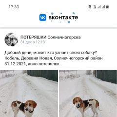 Подробнее об объявлении «Пропала собака кобель Солнечногорск» Фото: пропала собака Русская псовая борзая «Пропала собака кобель Солнечногорск» в г. Солнечногорск
