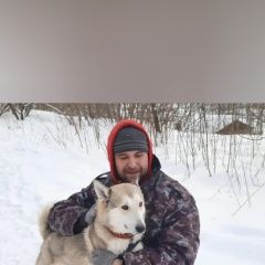 Подробнее об объявлении «Люберцы Пропала собака кобель» Фото: пропала собака Западно-сибирская лайка «Люберцы Пропала собака кобель» в г. Люберцы