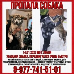 ����: ������� ������ �����-��� �������� ������ ������ � �. �����