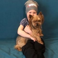 Подробнее об объявлении «Пропала собака Санкт-Петербург» Фото: пропала собака Йоркширский терьер «Пропала собака Санкт-Петербург» в г. Санкт-Петербург