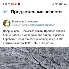 Подробнее об объявлении «Пропала собака кобель Харабали» Фото: пропала собака Шведская овчарка «Пропала собака кобель Харабали» в г. Харабали