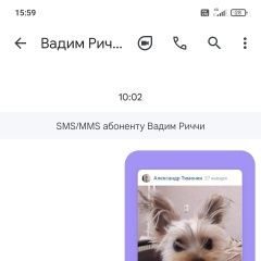 Подробнее об объявлении «Казань Пропала собака кобель йокширский терьер мини, кобель» Фото: пропала собака Йоркширский терьер «Казань Пропала собака кобель йокширский терьер...» в г. Казань