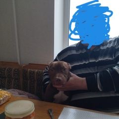 Подробнее об объявлении «Пропала собака Саратов» Фото: пропала собака  «Пропала собака Саратов» в г. Саратов