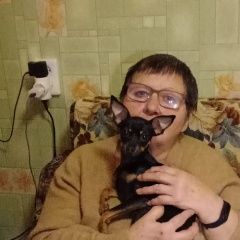 Подробнее об объявлении «Ульяновск Пропала собака пожалуйста помогите найти собачьку капа» Фото: пропала собака Чихуахуа «Ульяновск Пропала собака пожалуйста помогите...» в г. Ульяновск