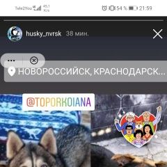 Подробнее об объявлении «Пропала собака помоготе Новороссийск» Фото: пропала собака  «Пропала собака помоготе Новороссийск» в г. Новороссийск