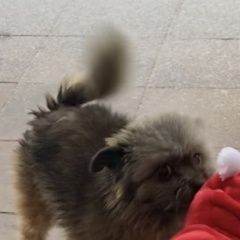 ����: ������� ������ ��-��� �������� ������ ������ ������� �������� (��������)� � �. ������� �������� (��������)