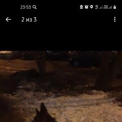 Подробнее об объявлении «Пропала собака кобель Санкт-Петербург» Фото: пропала собака Немецкая овчарка «Пропала собака кобель Санкт-Петербург» в г. Санкт-Петербург