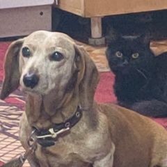 ����: ������� ������ ����� �������� ������ ����� ������ � �. ������