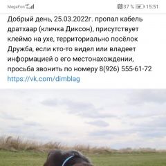 Подробнее об объявлении «Пропала собака кобель Раменское» Фото: пропала собака Дратхаар «Пропала собака кобель Раменское» в г. Раменское