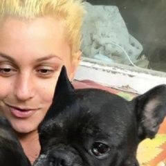 Подробнее об объявлении «Анапа Пропала собака, французский бульдог» Фото: пропала собака Французский бульдог «Анапа Пропала собака, французский бульдог» в г. Анапа