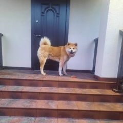 ����: ������� ������ �����-��� �������� ������ ������ ���������� � �. ���������