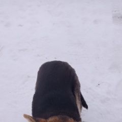 ����: ������� ������ �������� ������� �������� ������ ������� � �. �������