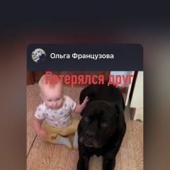 Подробнее об объявлении «Сургут Пропала собака кобель» Фото: пропала собака Кане-корсо «Сургут Пропала собака кобель» в г. Сургут