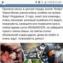 Подробнее об объявлении «Пропала собака домодедов разноглаз хаски дев роз ошейни Домодедово» Фото: пропала собака Сибирская хаски «Пропала собака домодедов разноглаз хаски дев...» в г. Домодедово