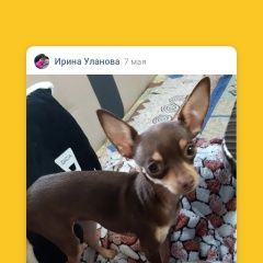 ����: ������� ������ ���-������ �������� ������ ������ ����� ���� ���, �...� � �. ������